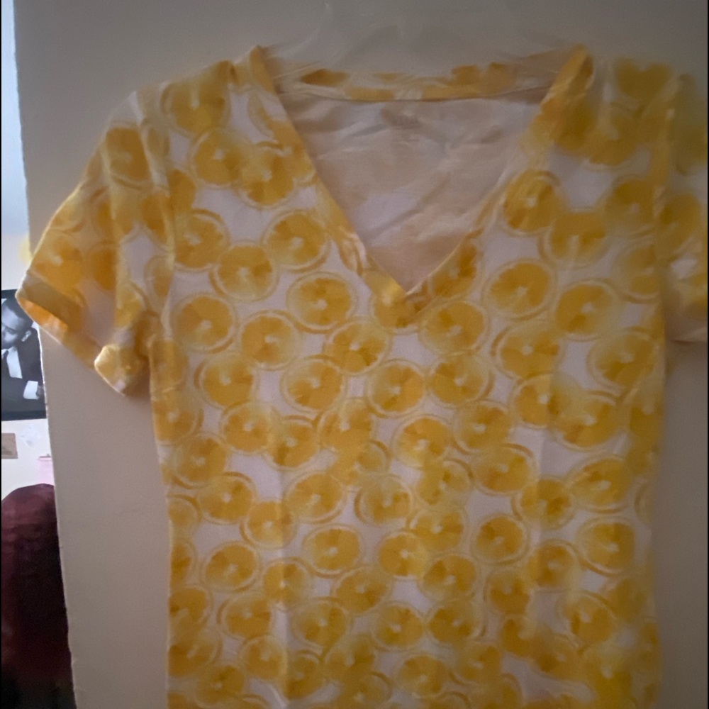 Lemon slices v neck shirt